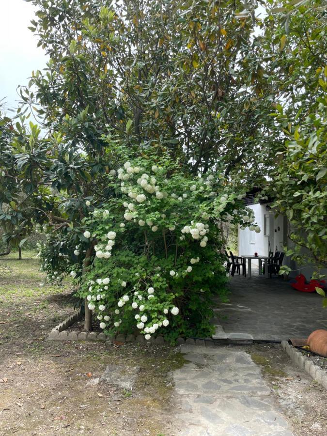 Irinis Cottage Kala Nera Extérieur photo